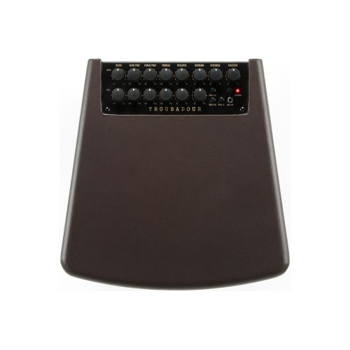 Гитарный комбоусилитель IBANEZ T80II